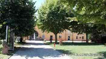 Ad Artemisia l'ultimo libro di Marco Natalizi su Caterina di Russia - Luccaindiretta - LuccaInDiretta