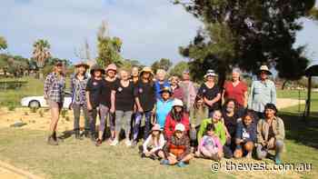 FROGGS & Chapman River Friends plant phase two of Geraldton Botanical Garden at Maitland Park - The West Australian