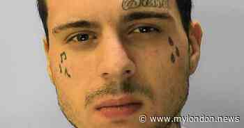 Man who 'broke into Buckingham Palace grounds' has 'mental health issues' - My London