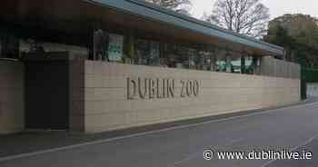Dublin Zoo to be investigated after whistleblower claims of animal mistreatment - Dublin Live