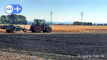Seelze: Landwirt verliert durch Brand 30 Tonnen Weizen - HAZ