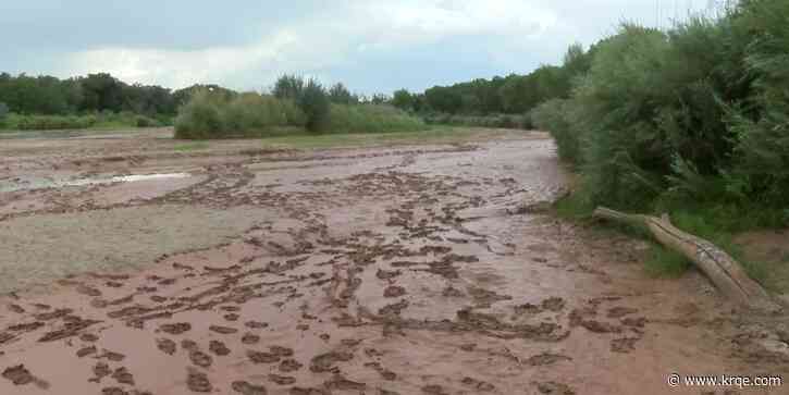 Rio Grande to remain dry until next year despite recent rains