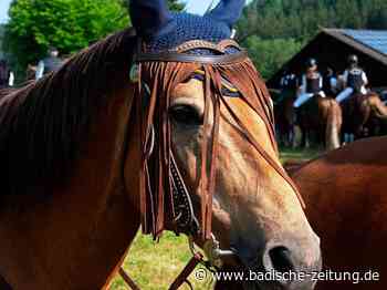 Fotos: Beim Eulogi-Ritt in Lenzkirch waren 117 Pferden dabei - Lenzkirch - Fotogalerien - badische-zeitung.de