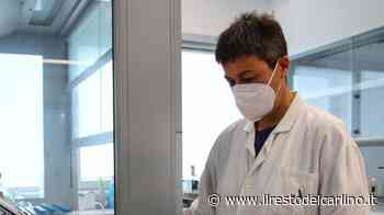 Chikungunya, Dengue e Zica: task force a Modena - il Resto del Carlino