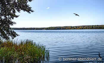 Musik am See: Festival in Bad Saarow - Berliner Abendblatt