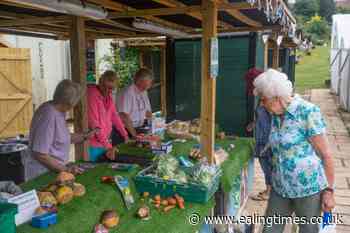B&Q Community Garden of the Year award winner revealed - Ealing Times
