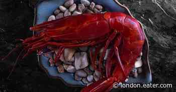 Alma Lisbon’s Chef Will Open Joia Restaurant at Battersea Power Station - Eater London