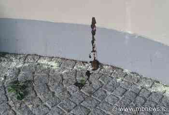 Monza, degrado in via Aliprandi. La segnalazione: “Escrementi su muri e cancelli delle abitazioni” - MBNews