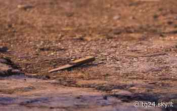 Monza, rissa con spranghe e coltelli: sei feriti e quattro arresti - Sky Tg24