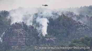 Waldbrände: Kampf in Brandenburg und Sachsen geht weiter