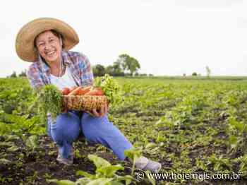Ilha Solteira promove palestras para celebrar o Dia do Agricultor nesta quinta-feira (28) - Hojemais de Ilha Solteira SP - Hojemais