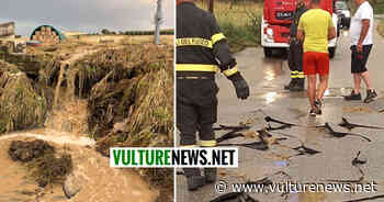 Nubifragio a Melfi: danni incalcolabili a vigne, ortaggi, uliveti in queste zone e strade distrutte! Ecco le foto - vulturenews.net