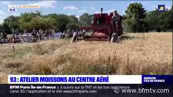 Une centaine d'enfants de Neuilly-Plaisance découvrent la culture du blé à l'aide d'ateliers. - BFMTV