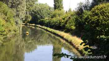 D'Orchies à Fenain, la voie verte vous conduit à travers la Pévèle et la Plaine de Scarpe - La Voix du Nord