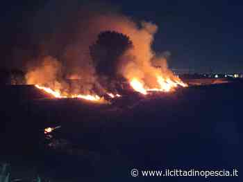 A fuoco l’argine del fiume. Ignote le cause - Il Cittadino Pescia