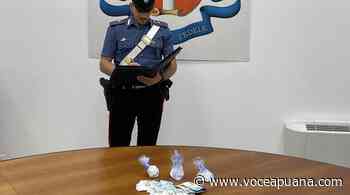 Massa, cocaina purissima nascosta in macchina: arrestato corriere della droga - La Voce Apuana - La Voce Apuana