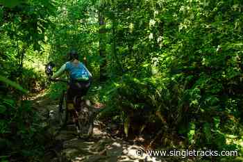 Bikers Finally Gain Access to Trail After 20 Years, New DH Trail in Oregon, and More Trail Flow - Singletracks.com
