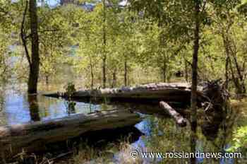 Two flights from Trail police all in day’s work - Rossland News