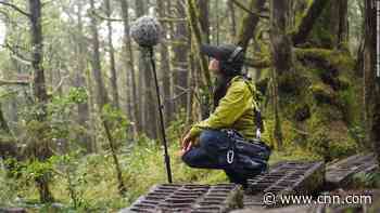 Taiwan unveils world's first 'certified quiet hiking trail' - CNN