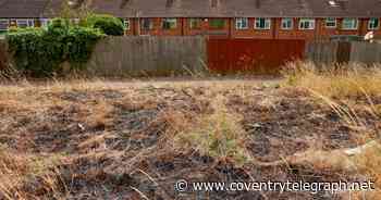 Rapid 999 response as flames engulf dry shrubland near Coventry homes - Coventry Live