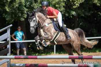 Großes Spektakel mit Gästen aus nah und fern - freiepresse.de
