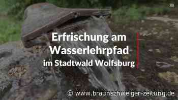 Erfrischung am Wasserlehrpfad im Stadtwald Wolfsburg