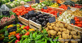 Fruit & Vegetables Market Size, Share, Types, Applications 2030 - Newstrail
