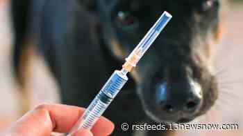 Peninsula Health District seeks owners of dog who bit person in Williamsburg