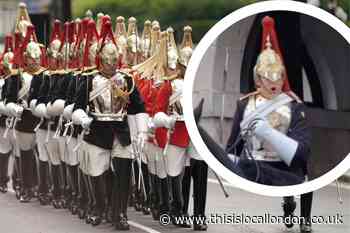 See the Viral TikTok as Queen's Guard screams at tourist