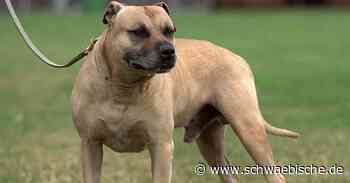 Hund in Donau bei Riedlingen ertränkt: Belohnung von Peta - Schwäbische