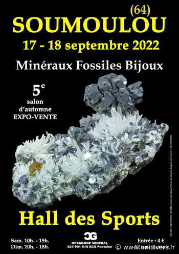 5e SALON MINERAUX FOSILES BIJOUX d’automne de SOUMOULOU (Pyrénées-Atlantiques) Hall des Sports samedi 17 septembre 2022 - Unidivers