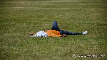 Hitze und Klimawandel kosten Wirtschaft Billionen - Capital