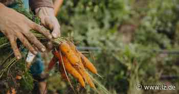 Hoffest in Dalborn lockt mit buntem Programm | Lokale Nachrichten aus Blomberg - Lippische Landes-Zeitung