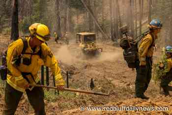Spread of Oak Fire near Yosemite National Park slows - Red Bluff Daily News