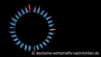 Gaspreis-Explosion: Auf Haushalte kommen „einige hundert Euro“ Mehrkosten zu