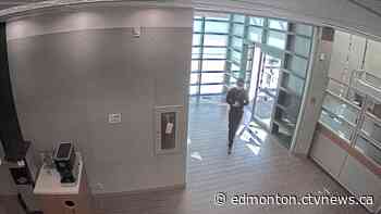 Rolex watch stolen in St. Albert Kijiji sale - CTV News Edmonton