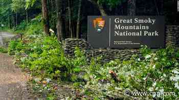 A 7-year-old girl was killed while camping with family after a tree fell on their tent in Great Smoky Mountains National Park
