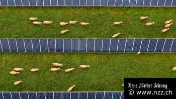 Klimawandel: Ein riesiges Solarkraftwerk im australischen Nirgendwo soll über ein 4200 Kilometer langes Seekabel Singapur mit Strom versorgen