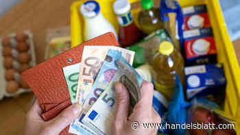 Teuerung: Länderdaten – Inflationsrate pegelt sich im Juli auf hohem Niveau ein