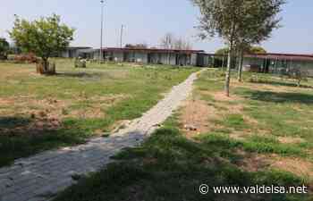 Empoli, primo open day al canile municipale in via del Castelluccio - Valdelsa.net