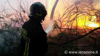 Incendio a Badesse: ripartiti i treni tra Firenze, Siena ed Empoli - LA NAZIONE