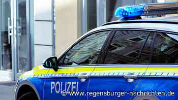 Landshut: Mann überfährt Hund und fährt weiter - Regensburger Nachrichten