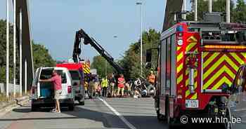 Paard zit vast met hoef in balustrade: brandweer moet dier bevrijden - Het Laatste Nieuws