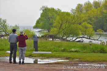 Prince Edward Point Natural Wildlife Area expanded to preserve wetlands - The Intelligencer