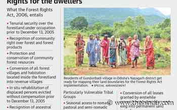 Forest Rights Act: well begun, and now Odisha is ready for the home run - The Hindu