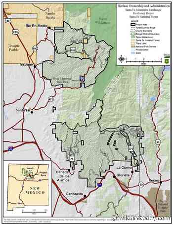 Forest Service withdraws decision about 50,566-acre fuel treatment project in New Mexico - Wildfire Today