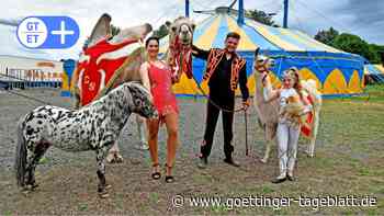 Zirkus in Duderstadt: Circus Salto bringt alte Bekannte mit - Göttinger Tageblatt