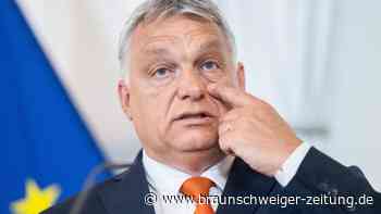 Viktor Orban sieht sich nicht als Rassist