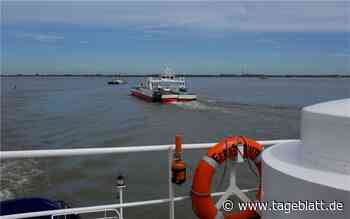 Auf Tour mit der Elbfähre von Wischhafen nach Glückstadt - Stade - Tageblatt-online