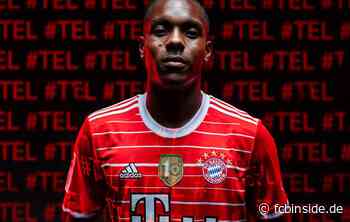 Offiziell: Bayern verpflichtet Mathys Tel von Stade Rennes! - fcbinside.de